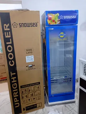 Snowsea Single Door Display Chiller Lc-300w With Led Light