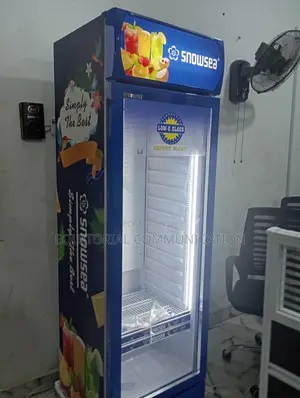 Snowsea Single Door Display Chiller Lc-300w With Led Light