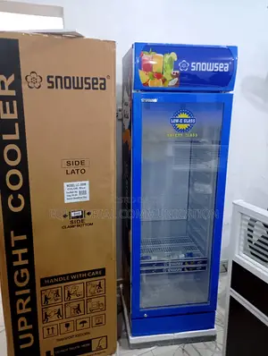 New Snowsea Lc300w Display Chiller for Business