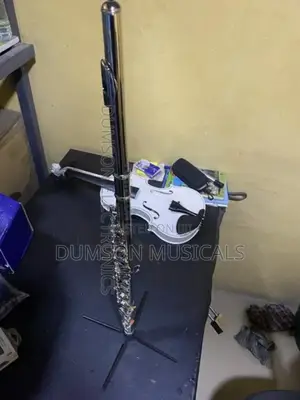 Professional Silver Flute