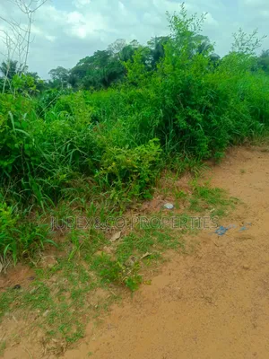 Farm Land at Odeda Abeokuta