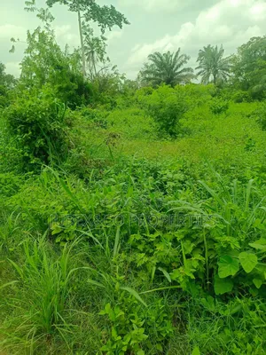 Acres of Land at Odeda