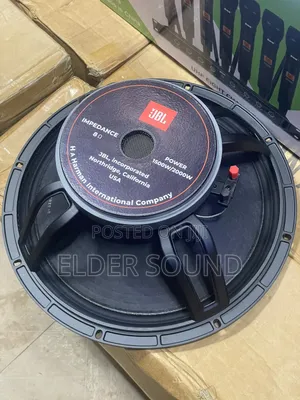 15” JBL Naked Speaker Big Magnet