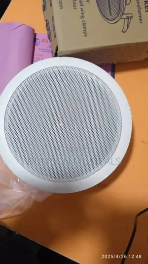 6watts Ahuja Ceiling Speakers
