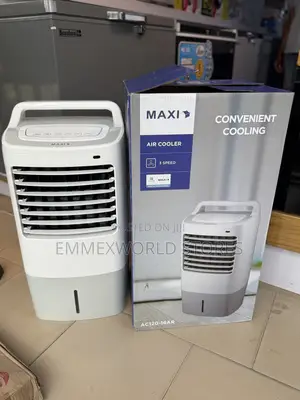 Maxi Mist Fan