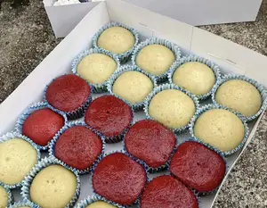 Cup Cake Available