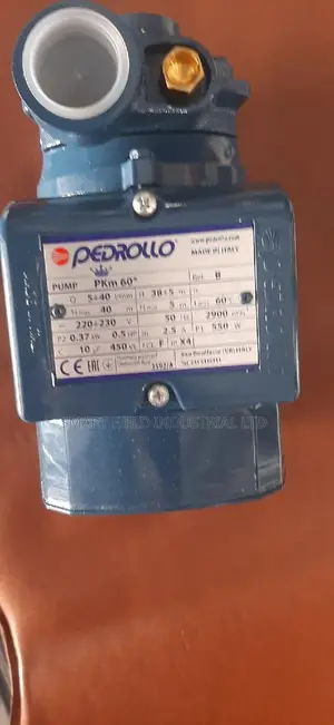 Pedrollo Surface Pump