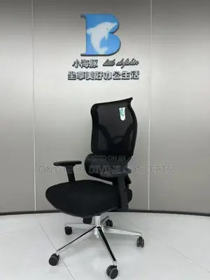 Executive High Back Ergonomic Chair