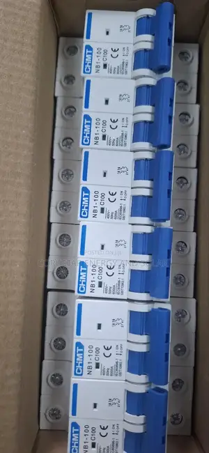 100a MCB 2pole Ac Chint Breaker
