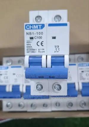 100a MCB 2pole Ac Chint Breaker