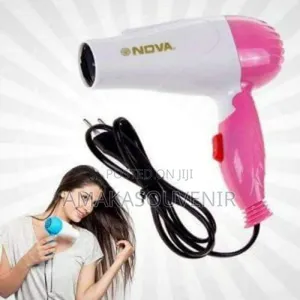 Electric Hair Dryer