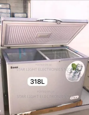 Dc Solar Freezer 318 Liters