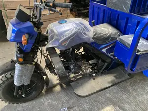New Tricycle 2023 Blue