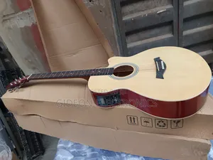 Semi Acoustic Guitar