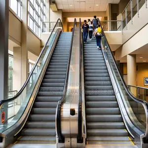 Role of Escalators in Building Accessibility