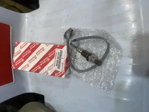 Oxygen Sensor
