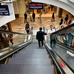 Escalator Stairway to Genericide