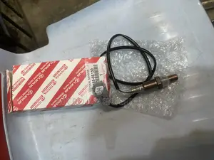 Oxygen Sensor