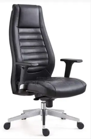 Executive Office Chair With Adjustable Handle
