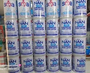 Nan Lactose Free (Lf 400g)