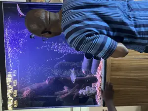4ft by 4ft Stand Alone Aquarium