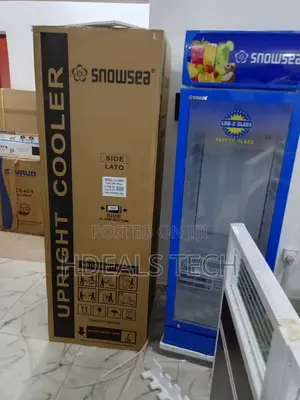 Snowsea Lc-300w Upright Freezer for Home Commercial Use