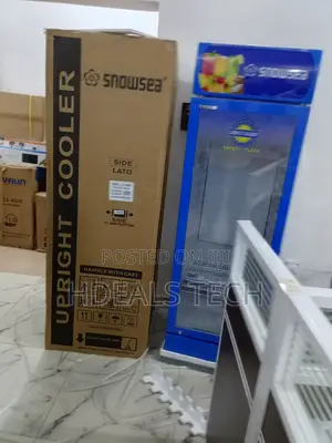 Snowsea Lc-300w Freezer With Large Storage Space
