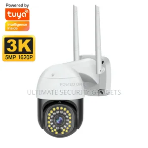 Wi-Fi Tuya Smart Waterproof PTZ Camera With Lan Port