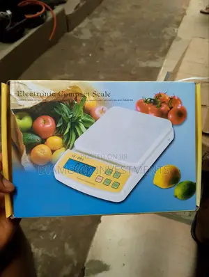 Electronic Mini Scale 1kg
