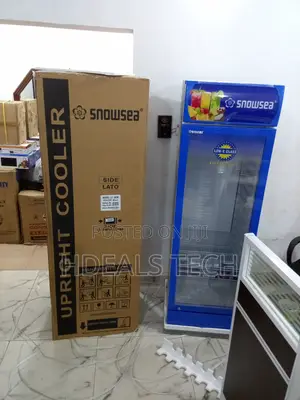 Snowsea Lc-300w - Commercial Grade Upright Freezer