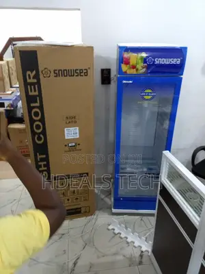 Snowsea Lc-300w Upright Freezer - Adjustable Temperature
