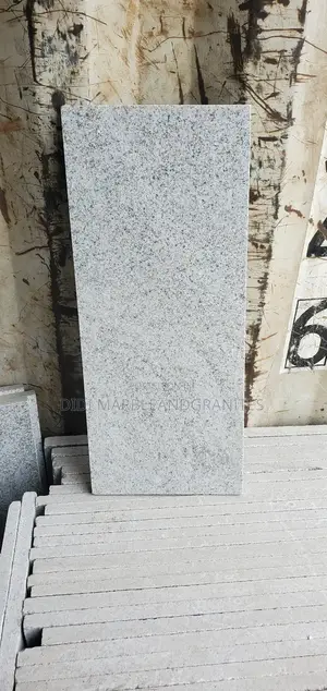 Gudi White Granite 25x60