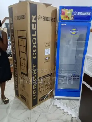 Snowsea Lc-300w Upright Freezer - Minimalist Design