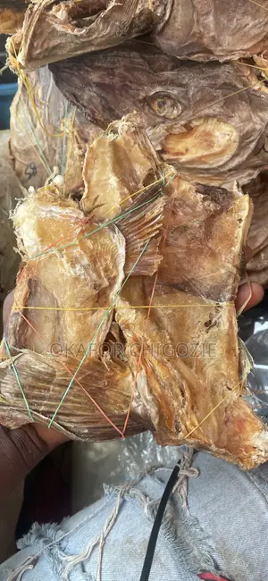 Stock Fish Ear