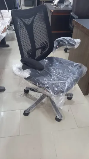 Egornomic Office Chair
