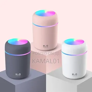 Humidifier for Room Moisture