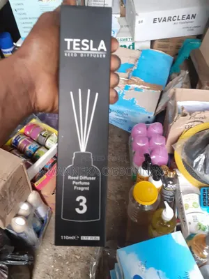 Reed Diffuser for Living Room