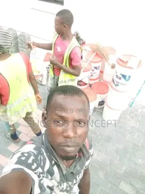 Meticulous Painter