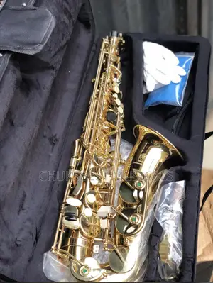 Professional Alto Saxophone