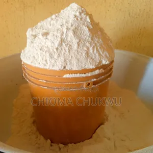 Pure Beans Flour