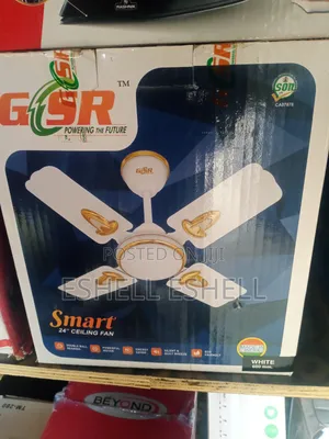 GSR 24" Ceiling Fan