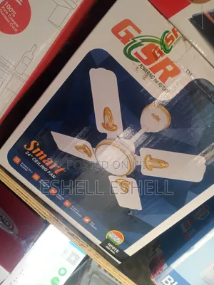 GSR 24" Ceiling Fan