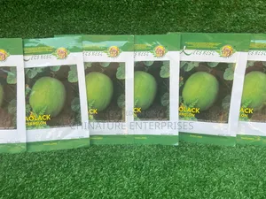 Watermelon Planting Seeds ( Packet