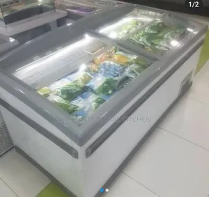 Frozen Food Freezer
