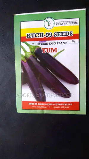 Egg Plant Long Purple F1 5g