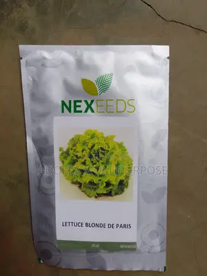 Lettuce Seeds Blonde De Paris 25g