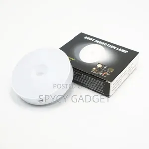 Intelligent Induction Lamp Motion Sensor Light