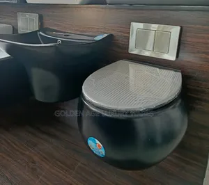 Black Egg Shaped Concealed Wc