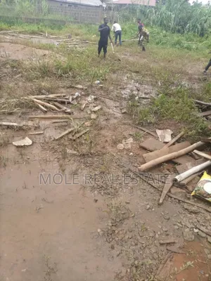 Half Plot Of Dry Table Land Lanre Bustop Iguando Lagos