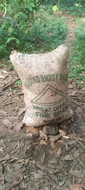 Cocoa Farming